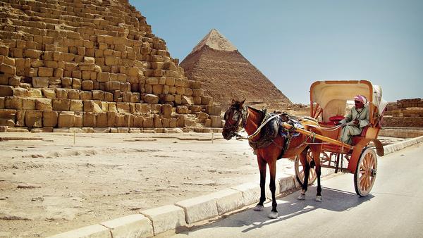 Local man with horse drawn cart waiting in front of the pyramids in Eygpt