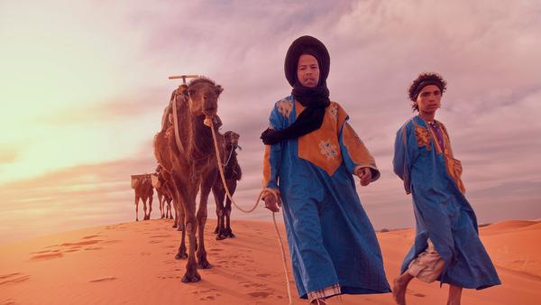 Two Moroccan men in djellabas leading a herd of camels in the desert