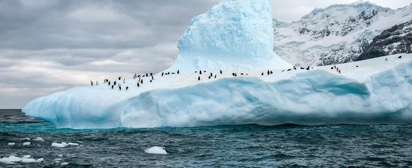 an iceberg hosting a penguin colony